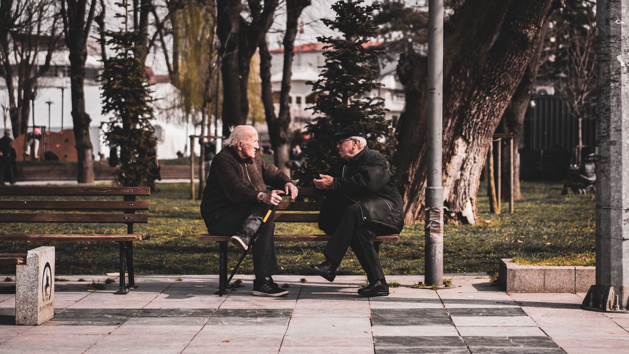 services-01 Two senior men chatting on a park bench surrounded by trees in an urban setting.