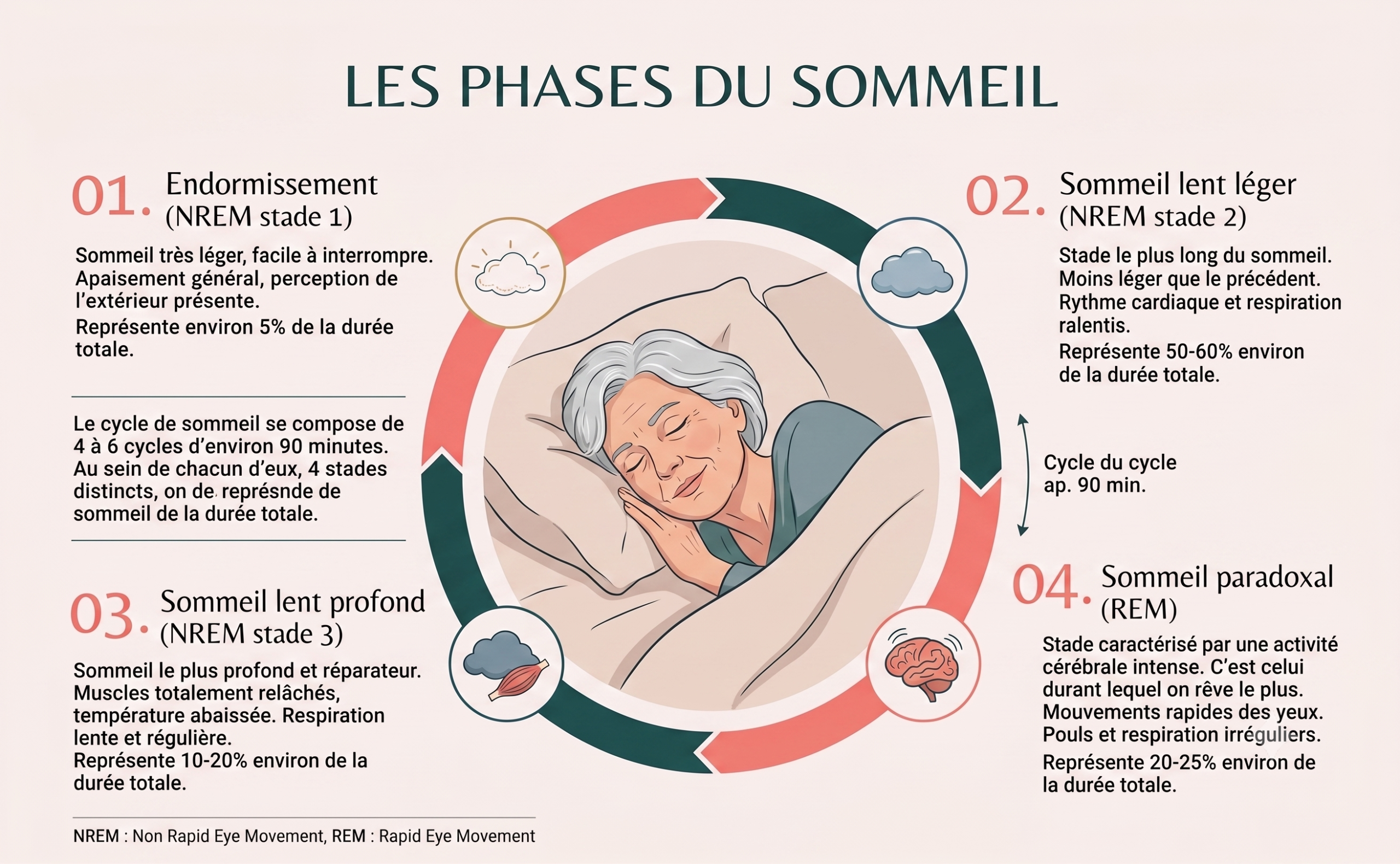 Infographie sur les différentes phases du sommeil. Une vieille femme dort sereinnement au centre.